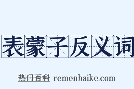 表蒙子反义词是什么意思的图片